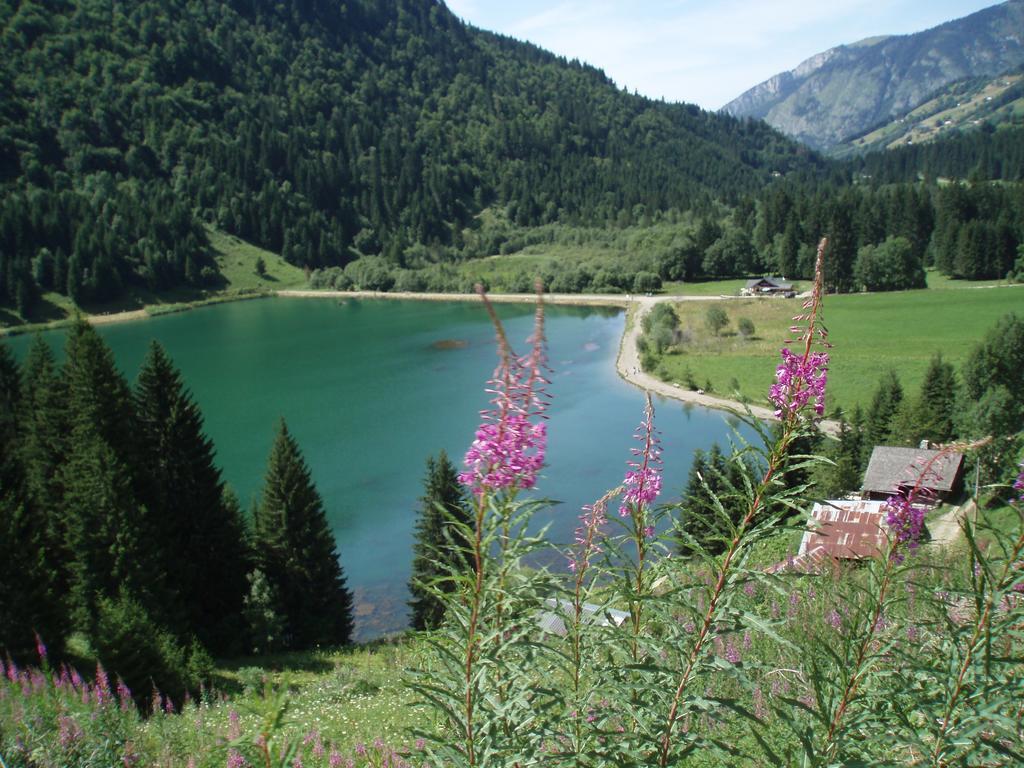 Le Clos Des Fontaines, A 5 Mn Du Lac Thonon-les-Bains Zewnętrze zdjęcie