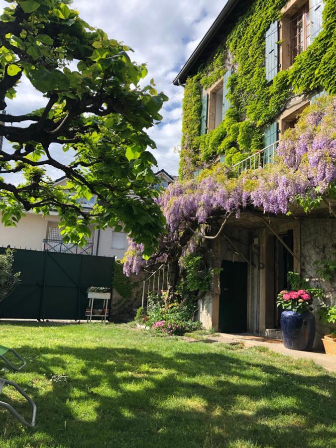 Le Clos Des Fontaines, A 5 Mn Du Lac Thonon-les-Bains Zewnętrze zdjęcie